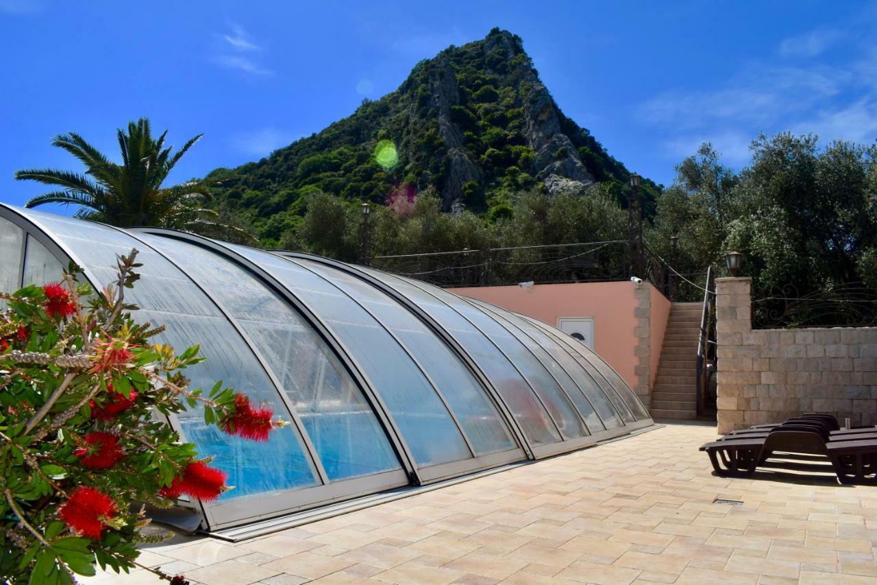 Villa Dolphin Apartments Petrovac Exterior photo