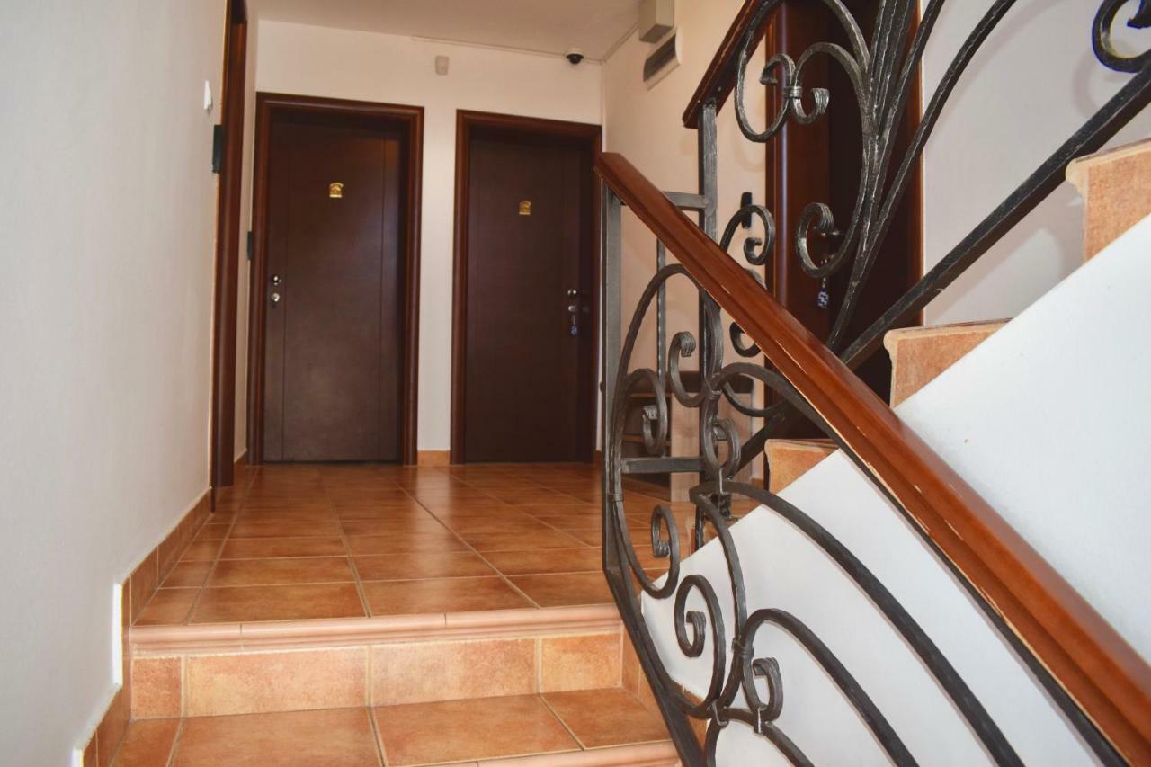 Villa Dolphin Apartments Petrovac Exterior photo